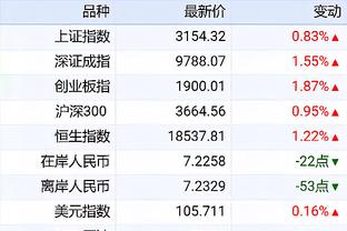 开云登录地址截图2